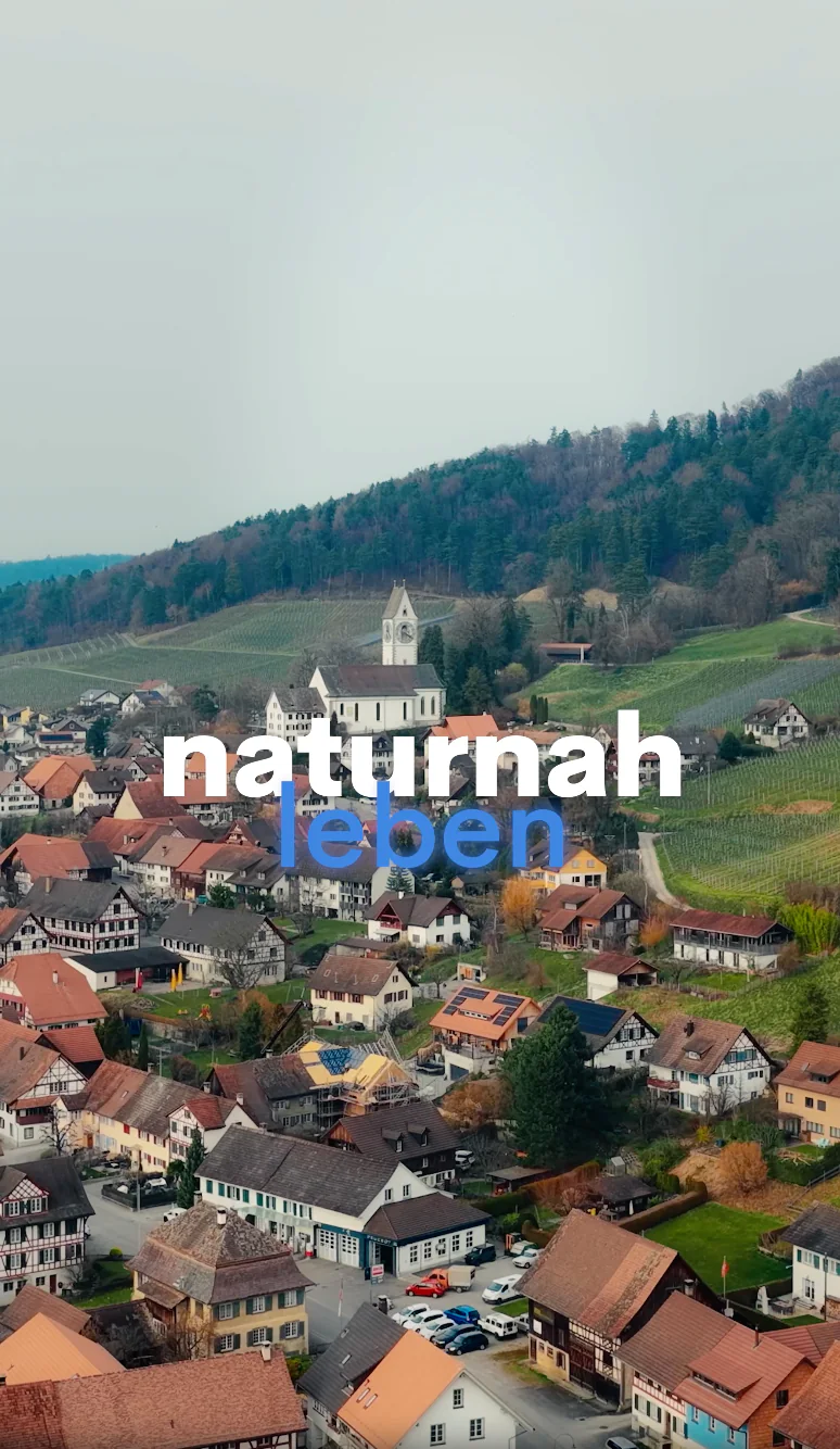 Häberlin Image