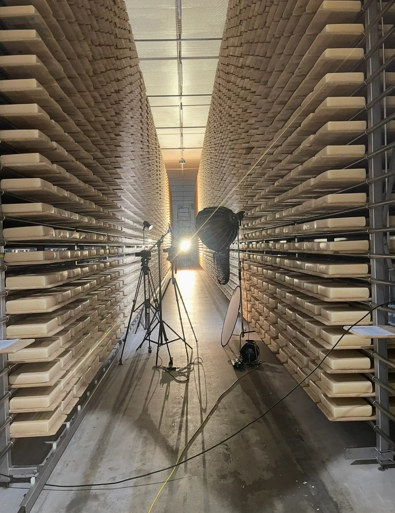 Reifelager der Strähl Käse AG mit Lichtstativ zwischen Käseregalen